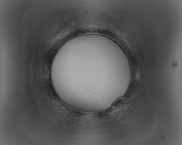 X0000091061253200708271149