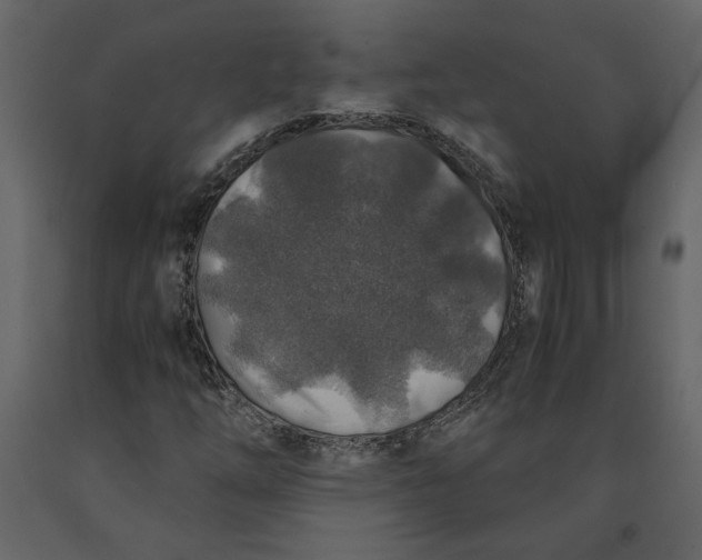 X0000091061254200708271149
