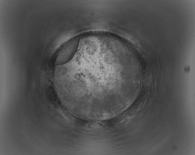 X0000091061255200708271149