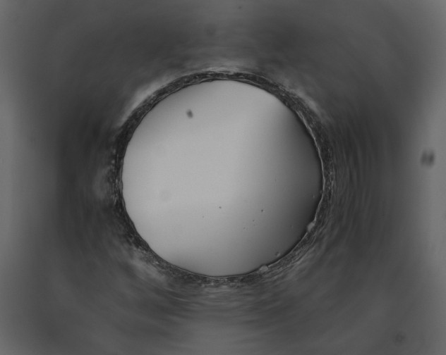 X0000091061256200708271149