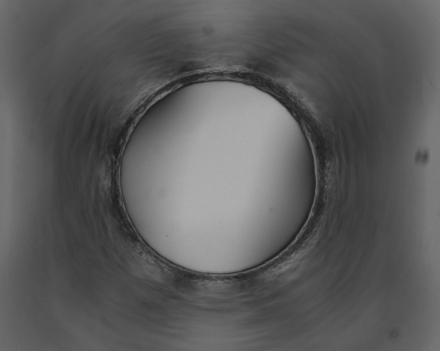 X0000091061257200708271149