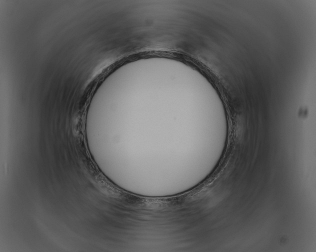 X0000091061258200708271149