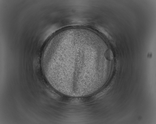 X0000091061259200708271148