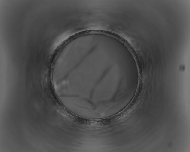 X0000091061263200708271148