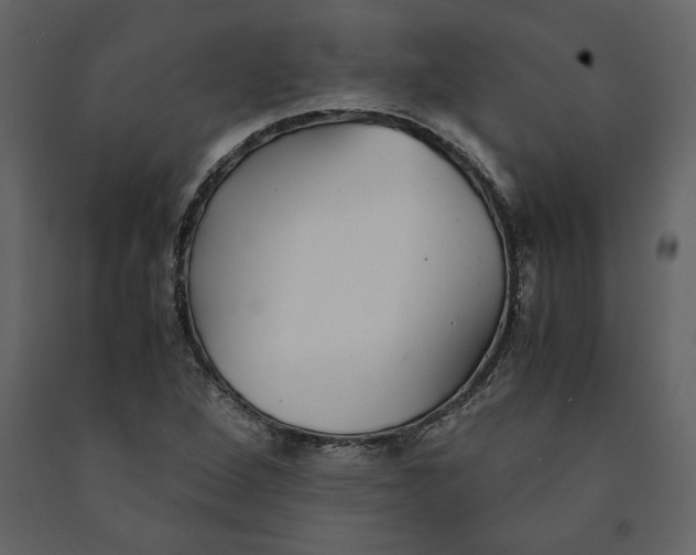X0000091061264200708271148