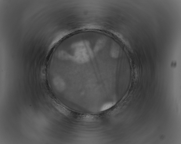 X0000091061266200708271148
