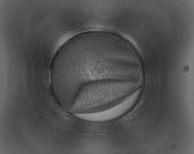 X0000091061267200708271148