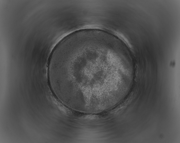 X0000091061268200708271148