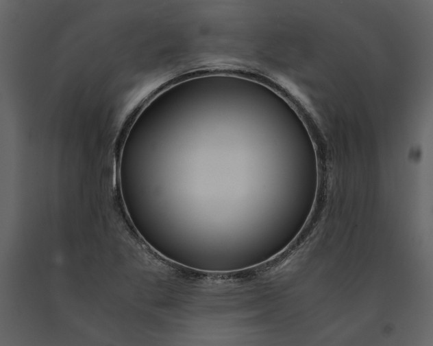 X0000091061269200708271148