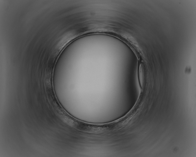 X0000091061273200708271148