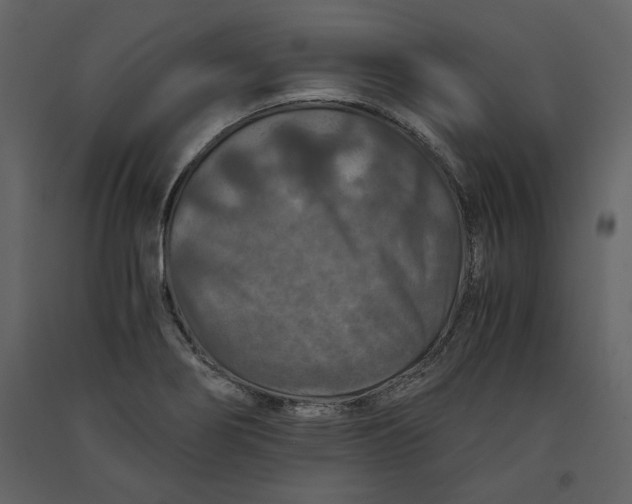 X0000091061274200708271148