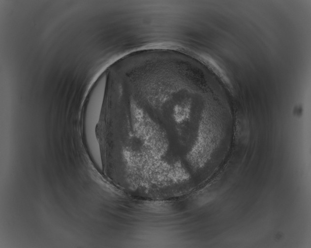 X0000091061276200708271148
