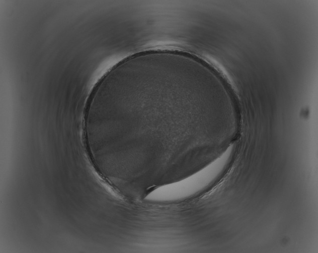 X0000091061277200708271148
