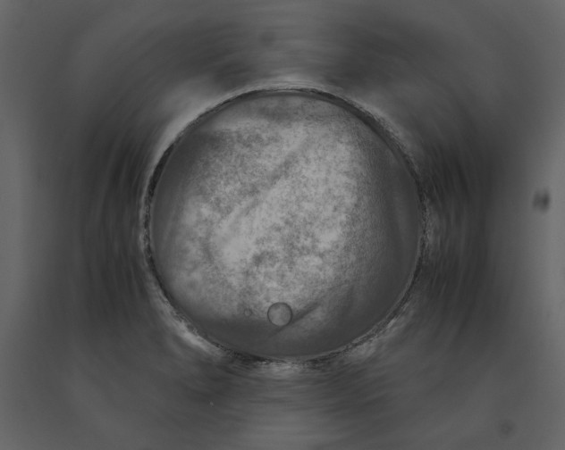 X0000091061278200708271148