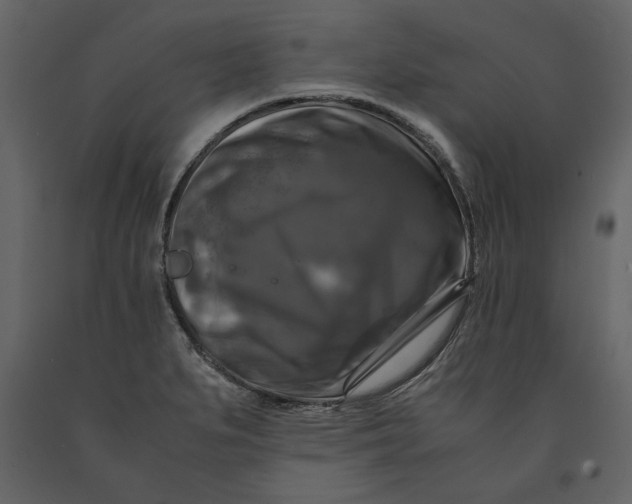X0000091061279200708271148
