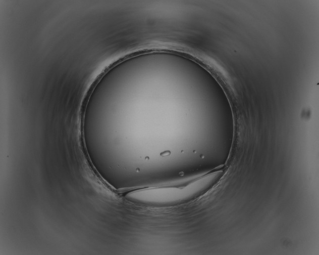 X0000091061280200708271148