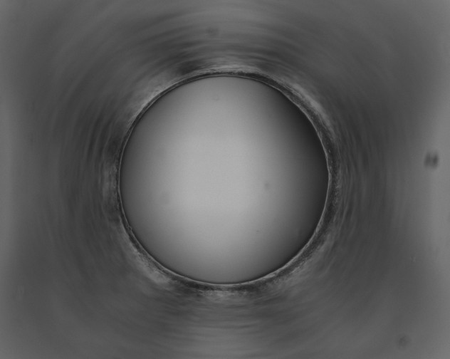 X0000091061281200708271148