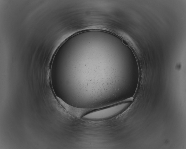 X0000091061284200708271148