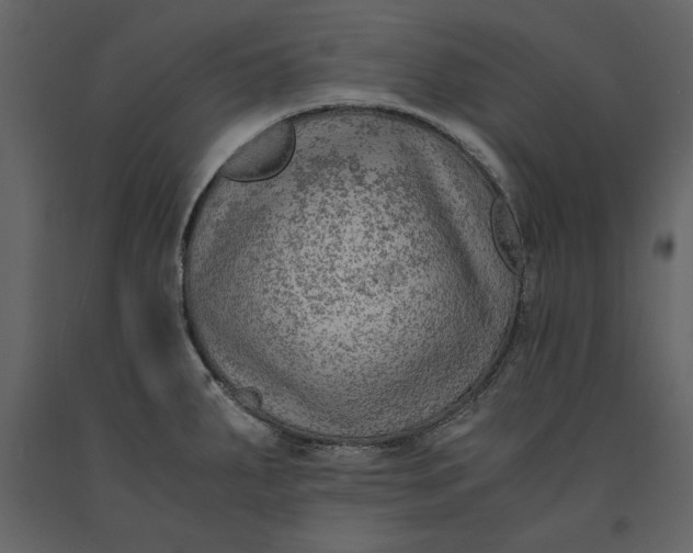 X0000091061287200708271148