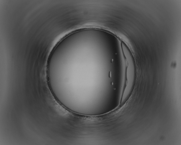 X0000091061288200708271148