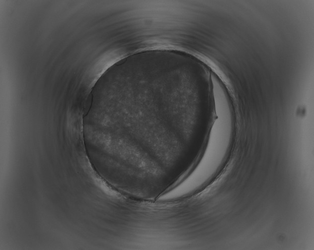 X0000091061289200708271148