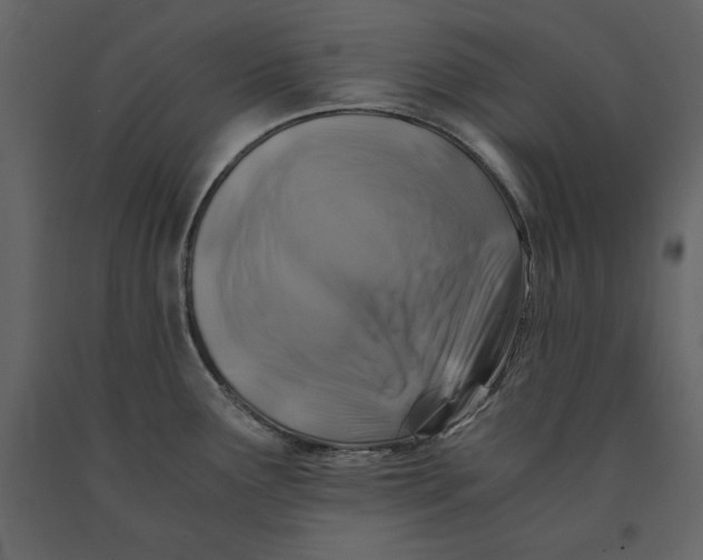 X0000091061291200708271148