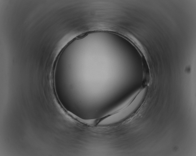 X0000091061293200708271148