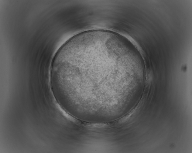 X0000091061294200708271148