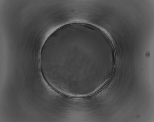 X0000091061295200708271148