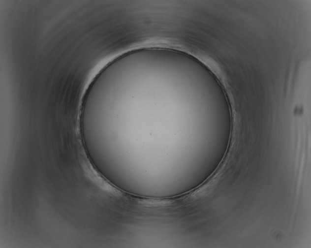 X0000091061296200708271148