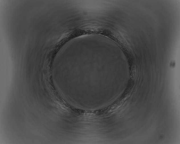 X0000091061297200708271147