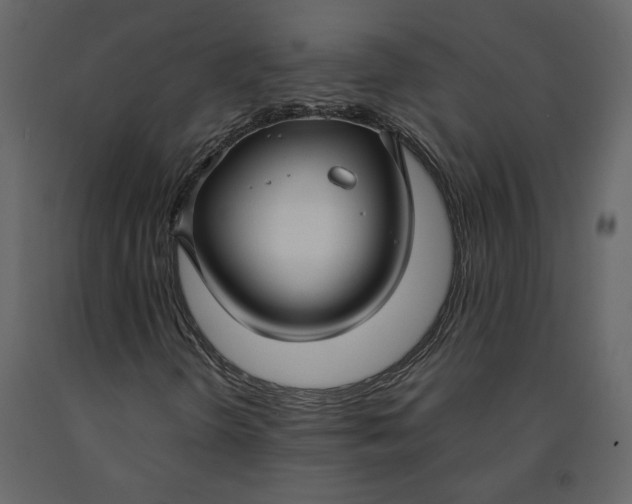 X0000091061298200708271147