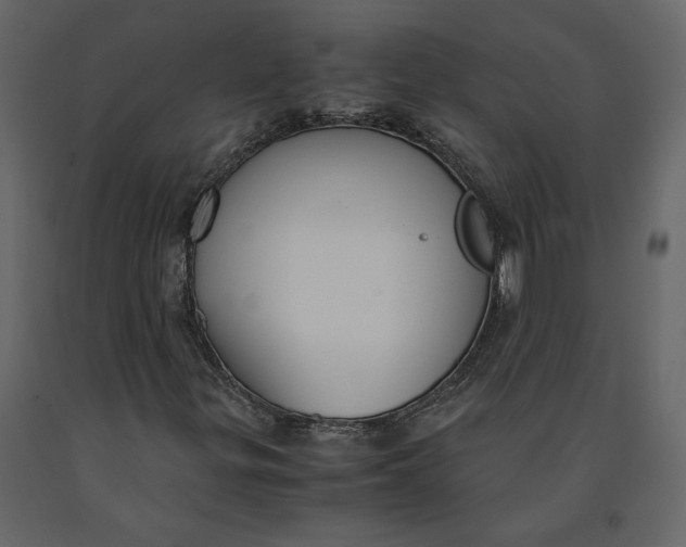 X0000091061299200708271147