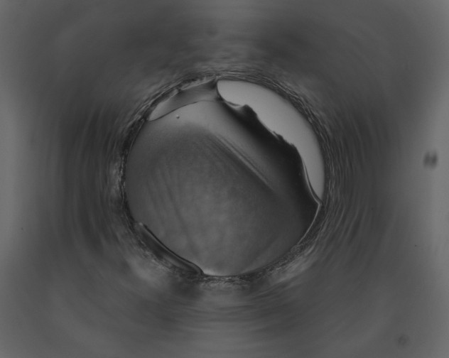 X0000091061300200708271147