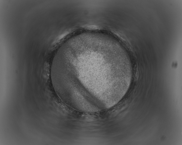 X0000091061301200708271147