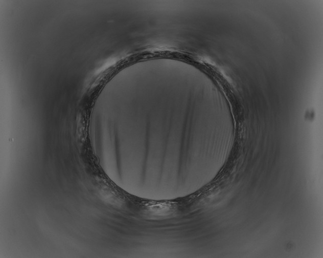 X0000091061303200708271147