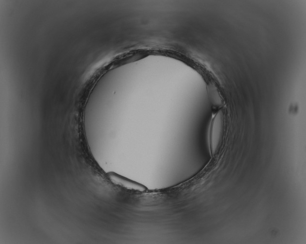 X0000091061304200708271147