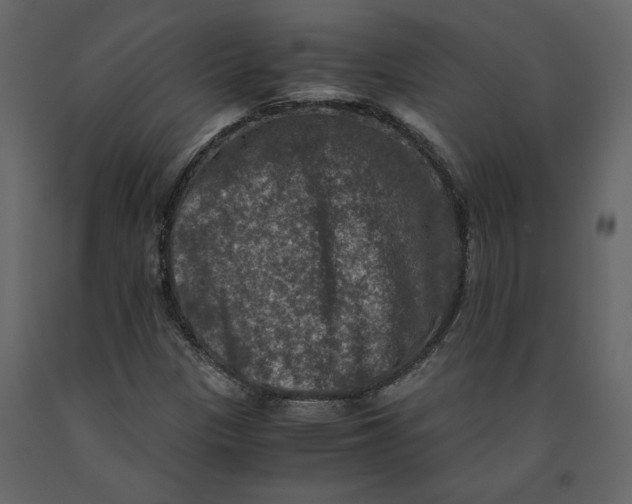 X0000091061305200708271147