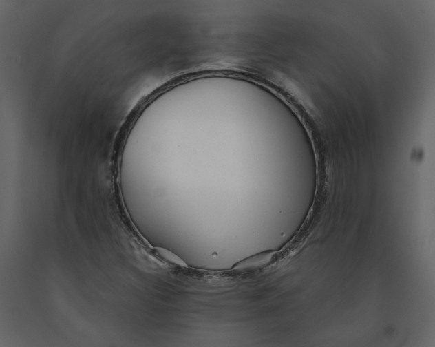 X0000091061308200708271147