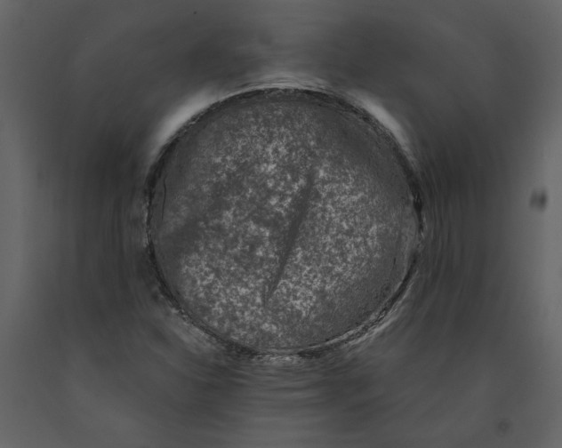 X0000091061310200708271147