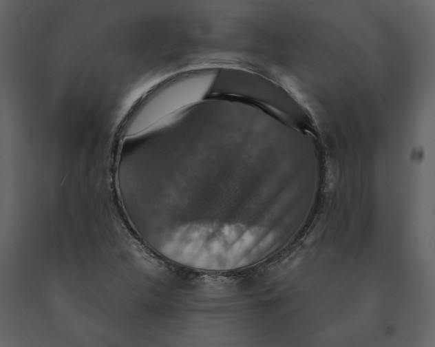 X0000091061312200708271147