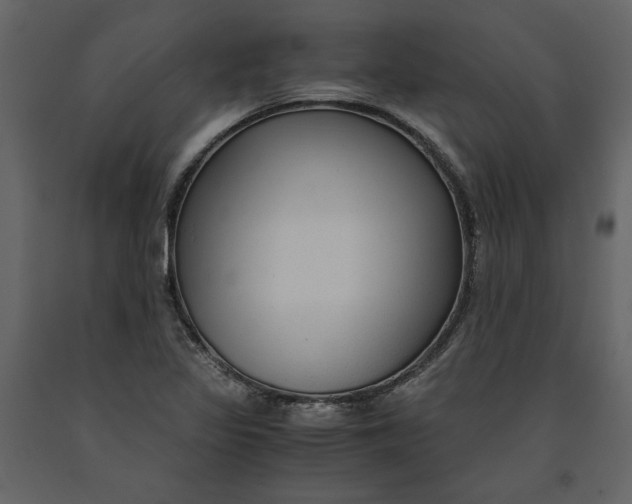 X0000091061317200708271148