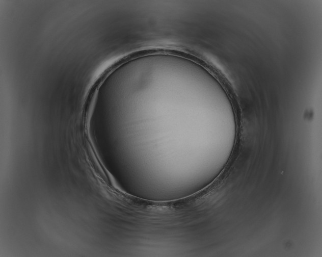 X0000091061320200708271148