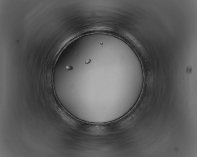 X0000091061321200708271148