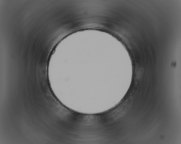 X0000091061322200708271148