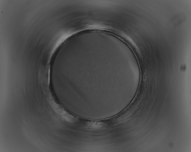 X0000091061323200708271148