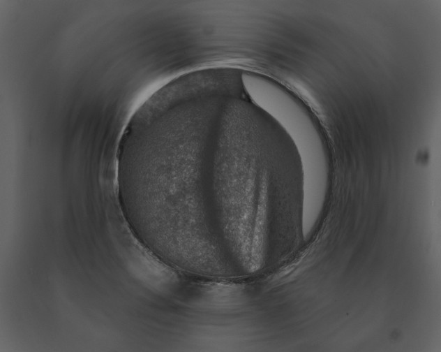 X0000091061324200708271148