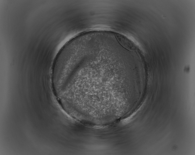 X0000091061325200708271148