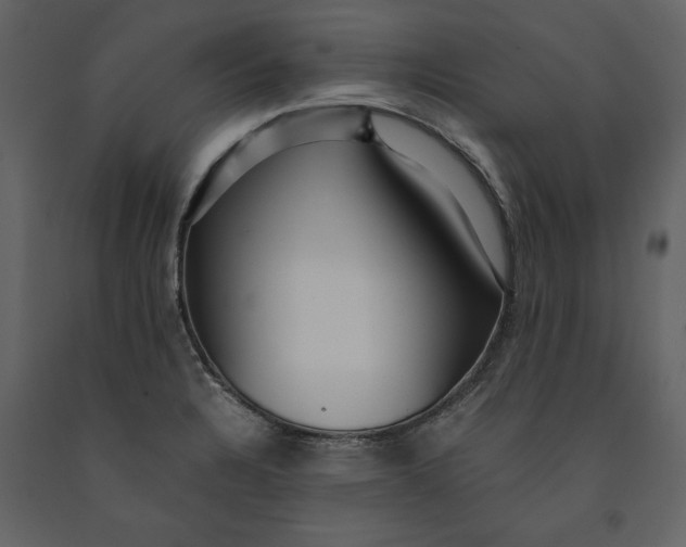 X0000091061328200708271148