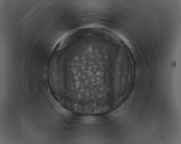 X0000091061329200708271148